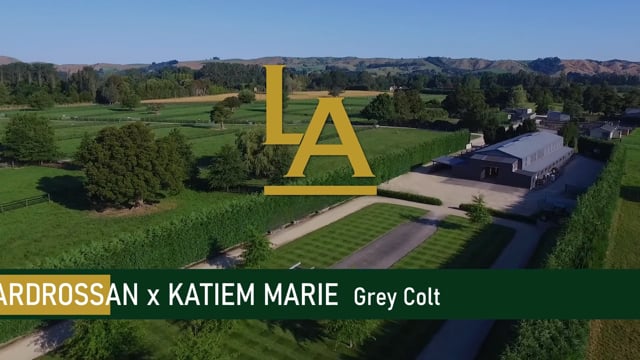 Lot 4