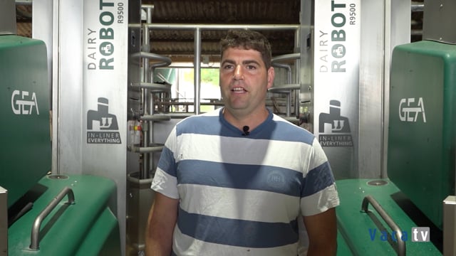 Tres robots GEA revolucionan el día a día de SAT El Pelambre: más leche y menos estrés