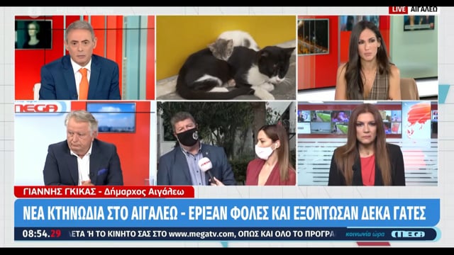 Για τις δηλητηριασμένες γάτες στο Αιγάλεω Αττικής 20-10-2020