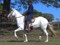 Lote 07