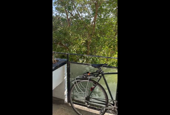 Video 1: Shared living/dining room