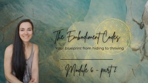 Embodiment Codes Module 6b
