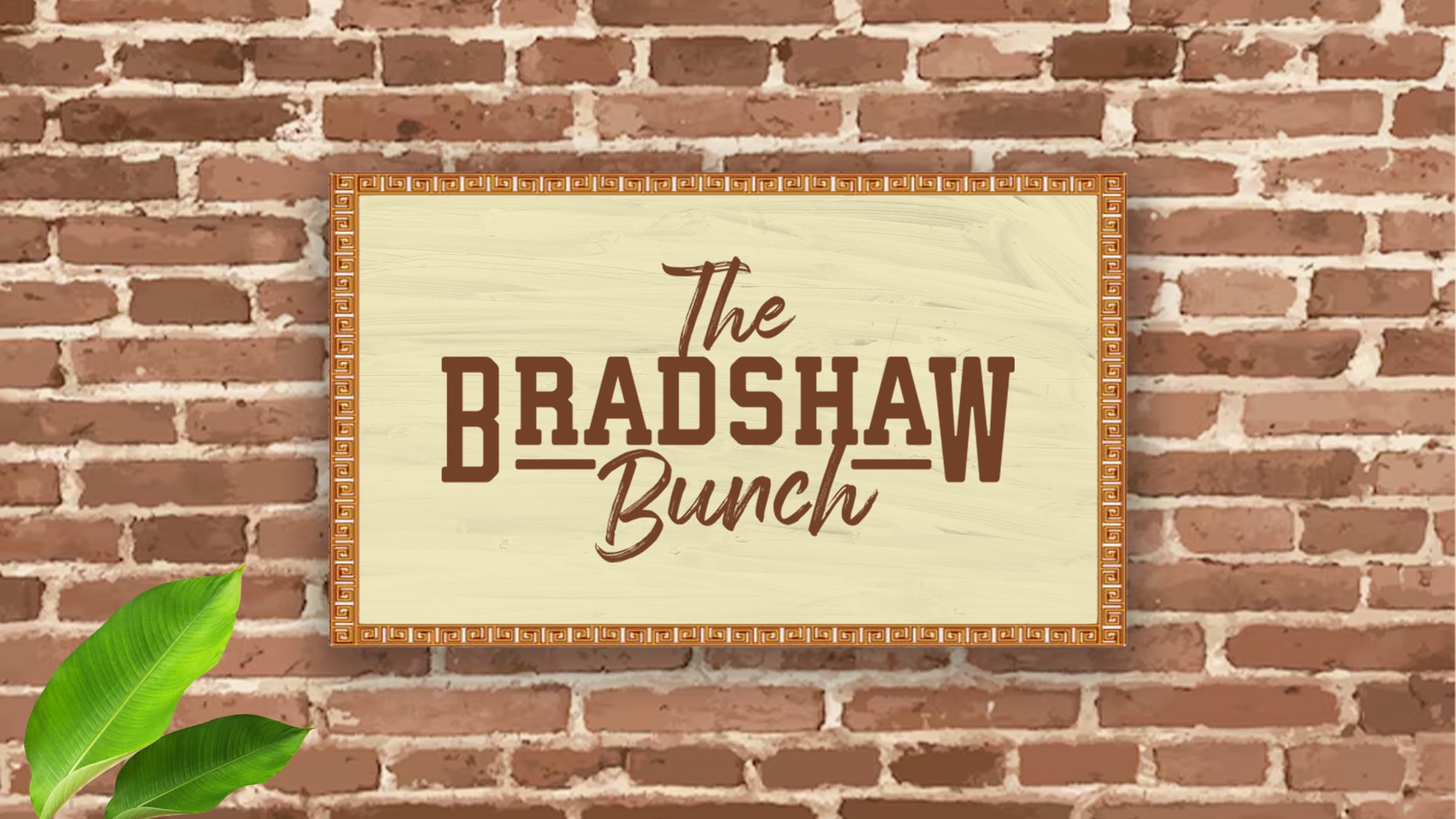 The Bradshaw Bunch TV rebrand