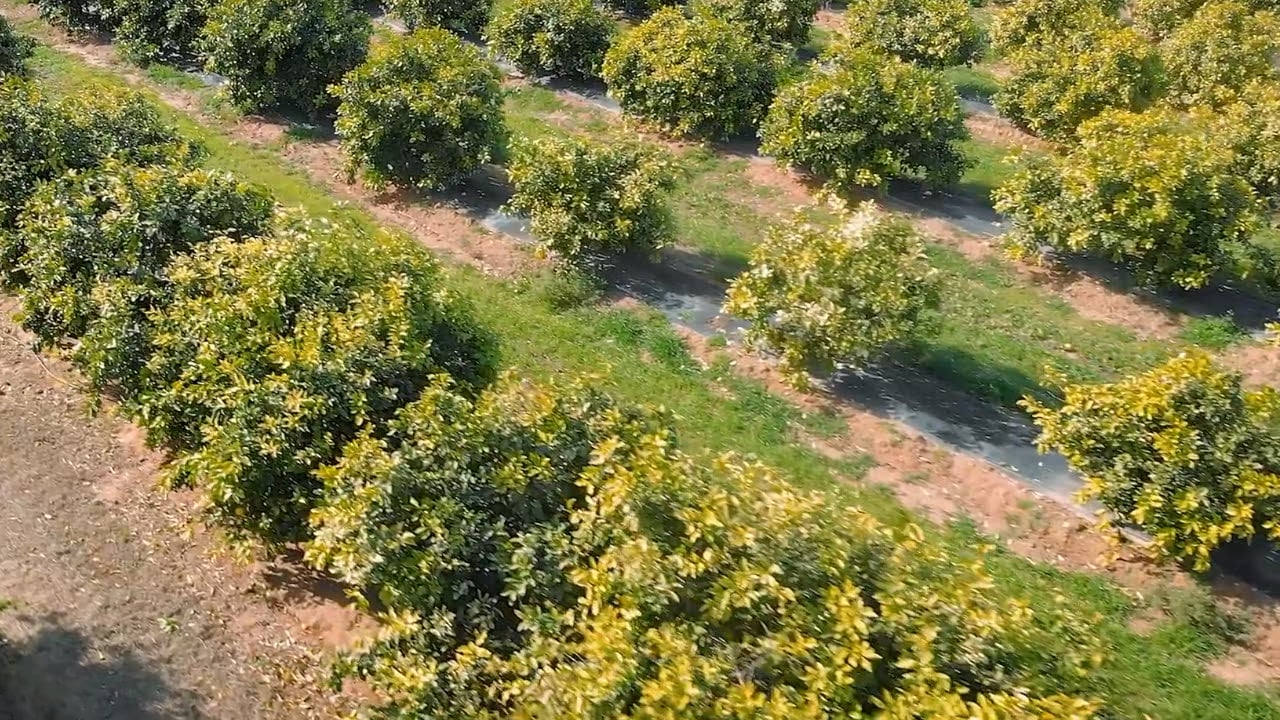 https://i.vimeocdn.com/video/2027778074-a1c204c4200d4fcccae70e1a8c35d3ce6376cce9aead352cccb74b4606b46af4-d