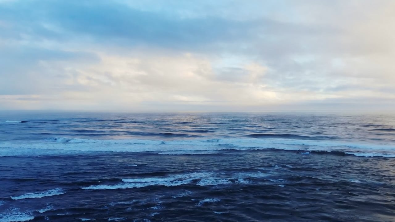 https://i.vimeocdn.com/video/2027805555-57bcf8d60aeb56a54c0e13751352be395535a5b99e100e241565ed64bb20ab90-d