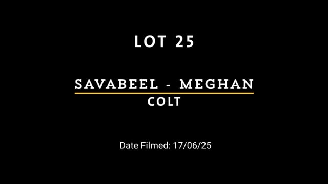 Lot 25