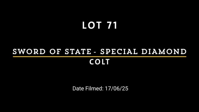 Lot 71