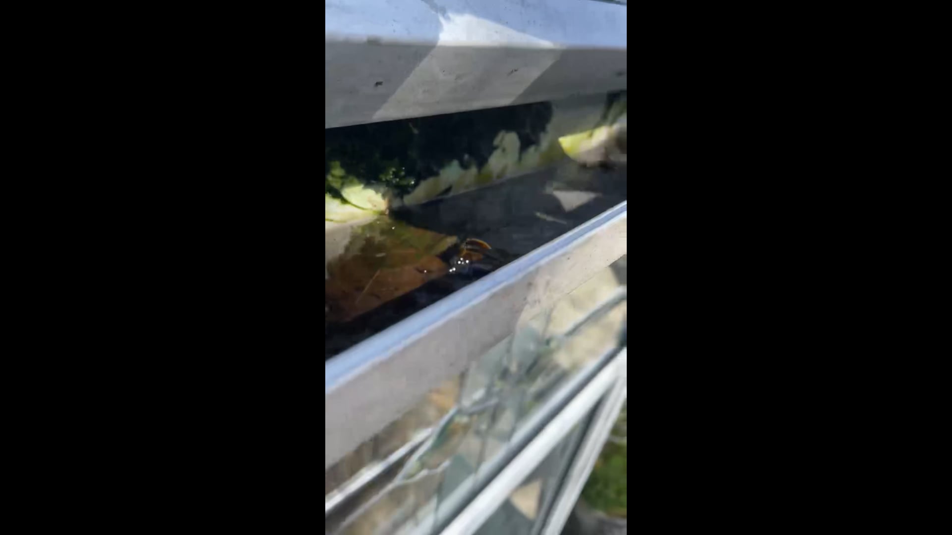 Gutter Vacuum Cleaning
