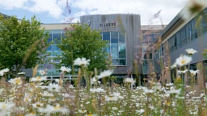 St Luke's School Promo