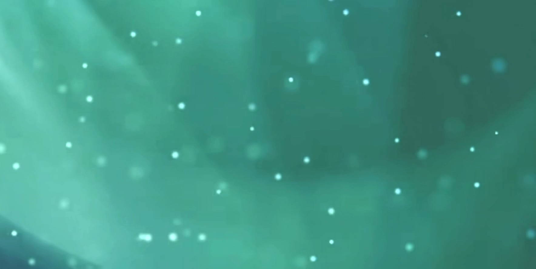 https://i.vimeocdn.com/video/2028054323-1bc5b37a91d5a789055dd1a9f26c61c9ac5a92a4e4881f4ed1ff96dc79da6054-d
