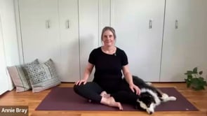 Related Embedded Video Item Thumbnail