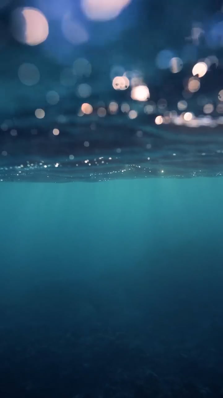https://i.vimeocdn.com/video/2028091946-0eb421cb48dc9a28f8dbf89557c876d202676d5b596ca0c6aa6e848e8059ced4-d