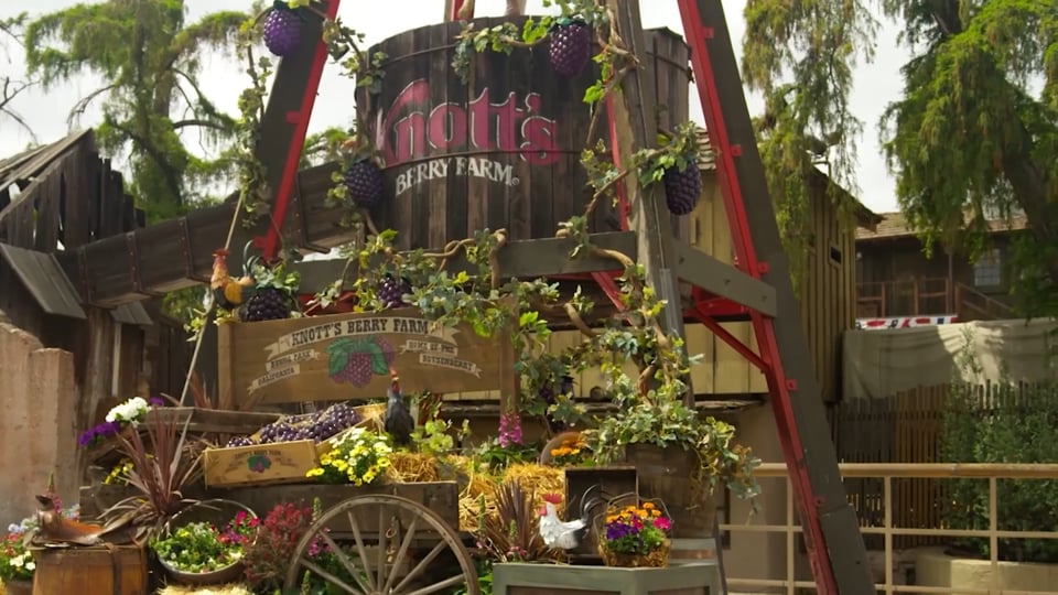 Knott