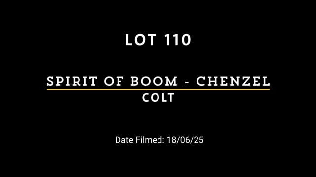 Lot 110