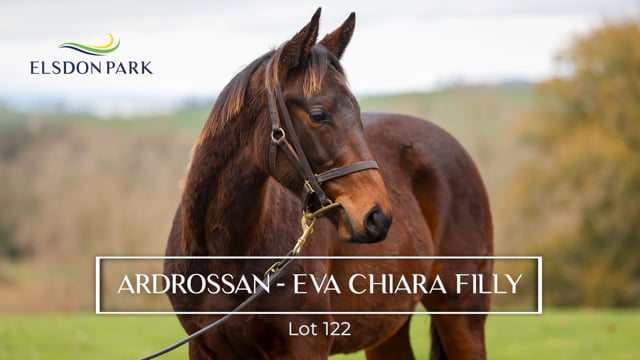 Lot 122