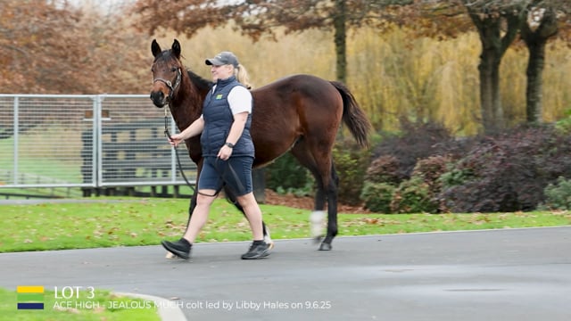Lot 3