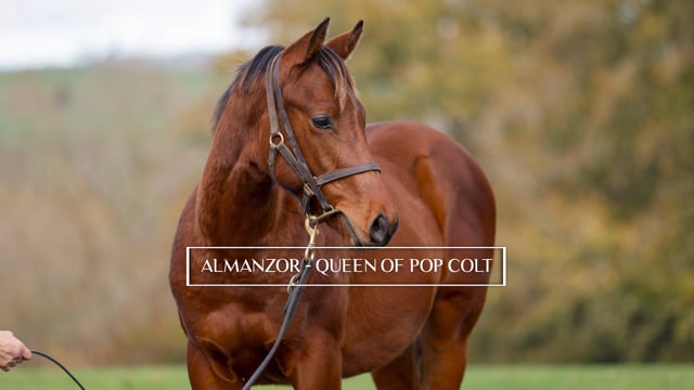 Lot 44