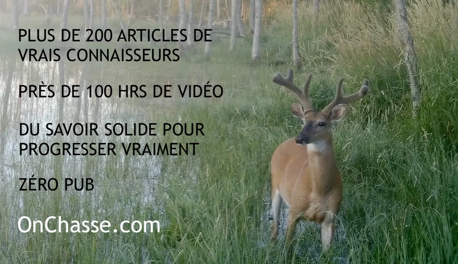 final pub onchasse 2.mp4, image size:1459x842