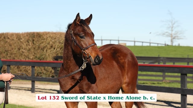Lot 132