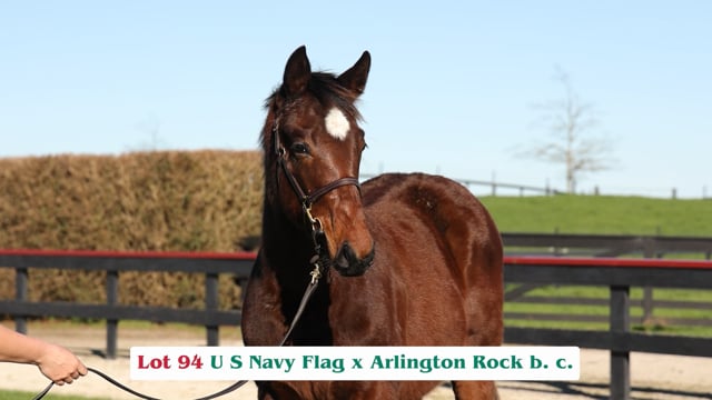Lot 94