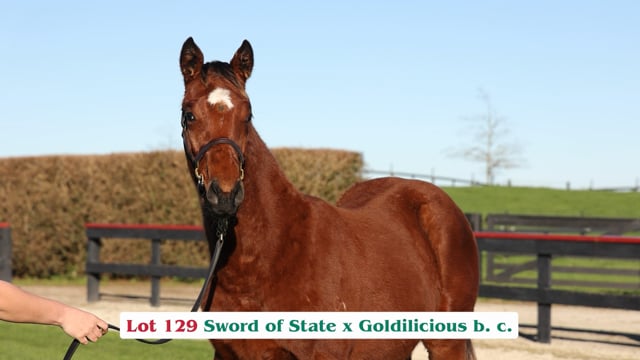 Lot 129
