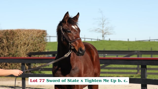 Lot 77