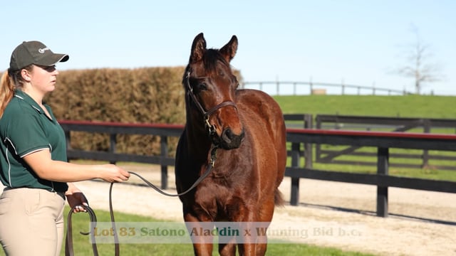 Lot 83