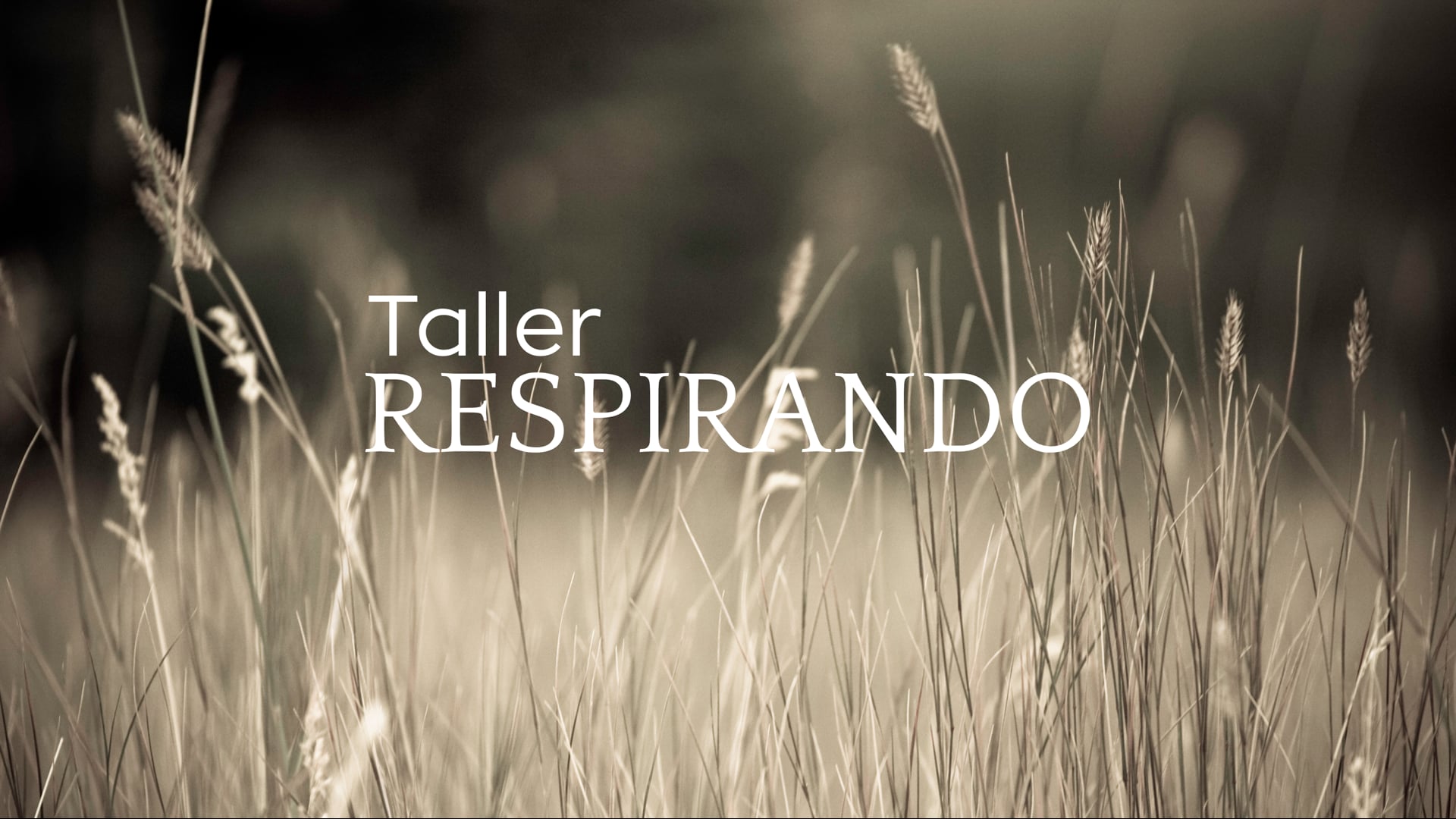 taller RESPIRANDO