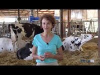 La labor de la ADSG Arzúa