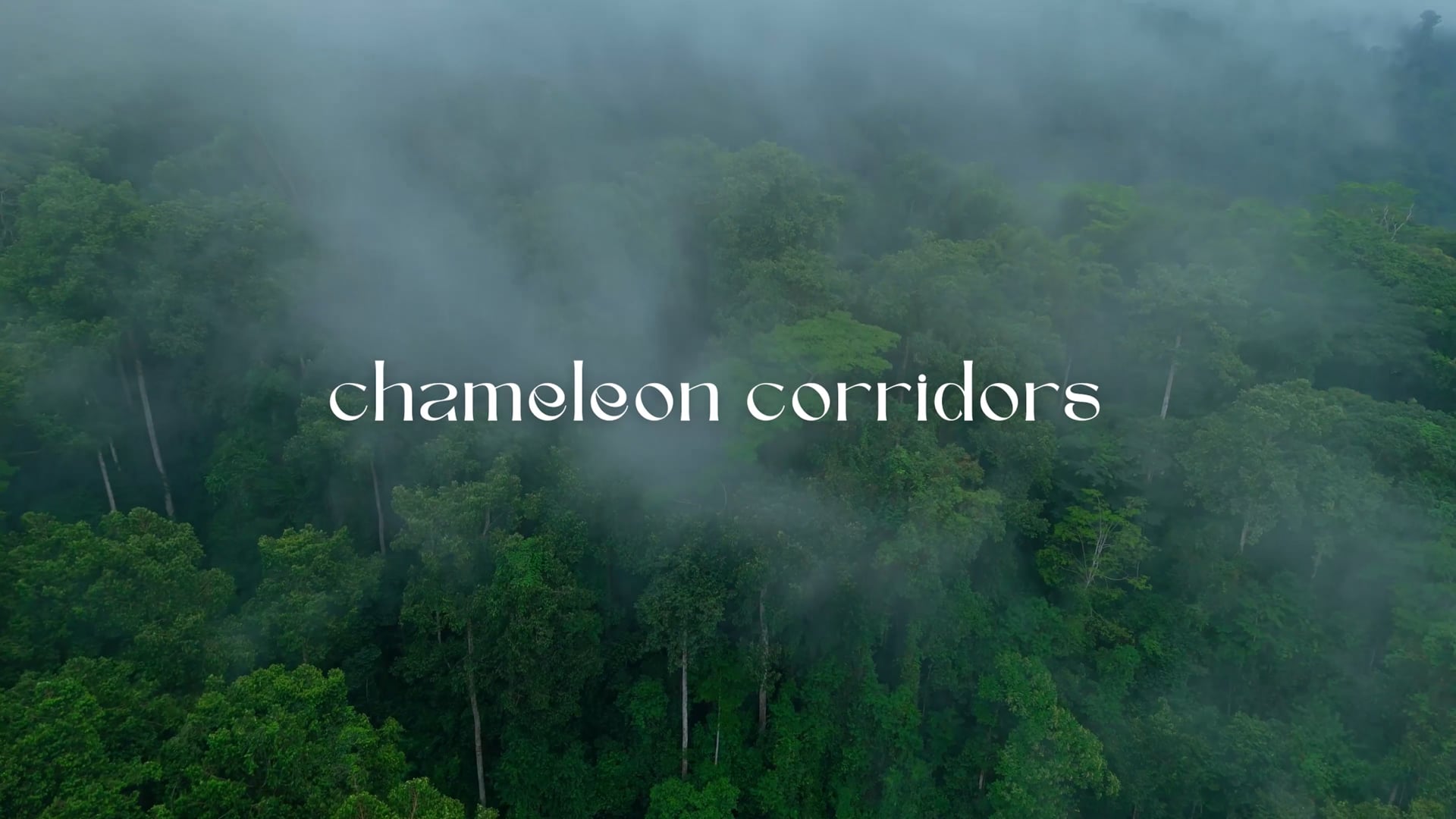CHAMELEON CORRIDORS 4K STEREO 170625