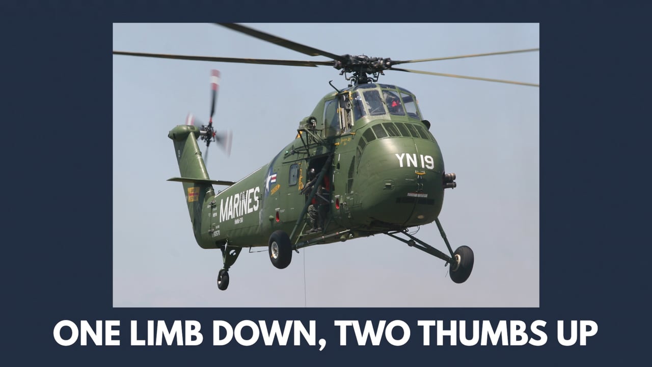 Richard Erickson - One Limb Down, Two Thumbs Up