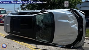 Cicada Car Crash