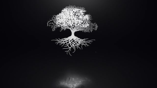 UNDERSTANDING 1ST JOHN 5:7 – THE UNTOLD TRUTH ABOUT THE TRINITY
