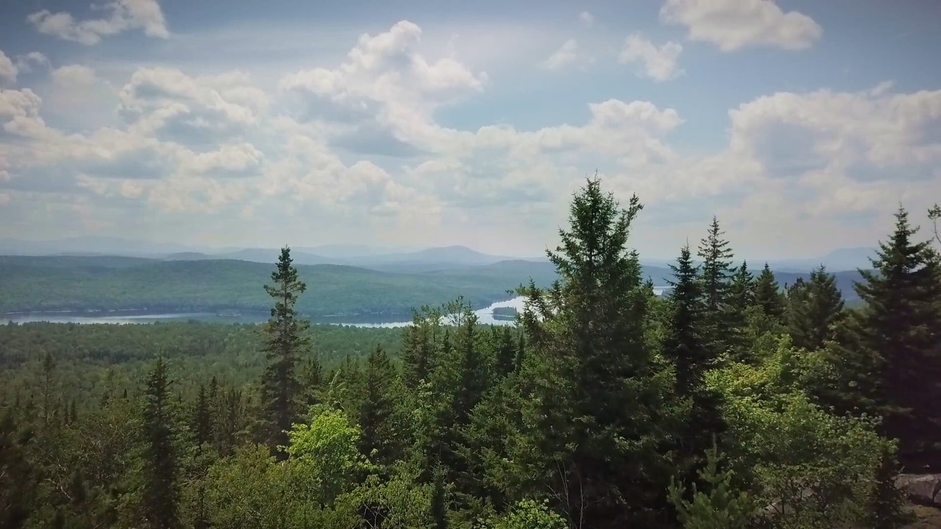 The Nature Conservancy: Join Maine Campaign 2025