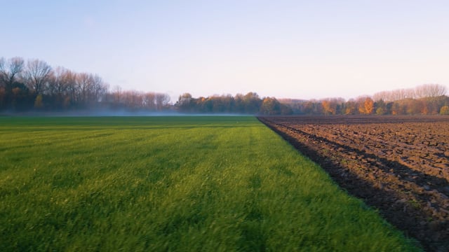 Placholder vimeo background video