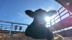 2025 NWSS Show Center