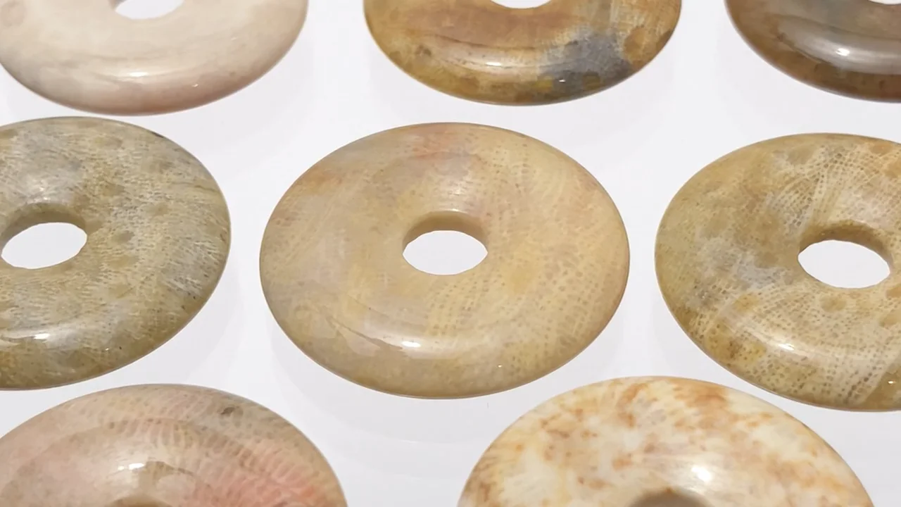 動画】フォシルコーラル(化石珊瑚) コイン(ドーナツ）30×30mm 2