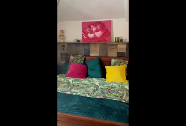 Video 1: