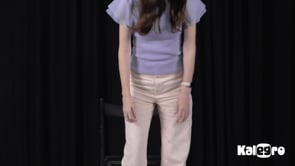 Video 1
