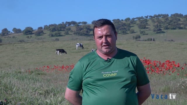 Un modelo de constancia y genética en Los Pedroches