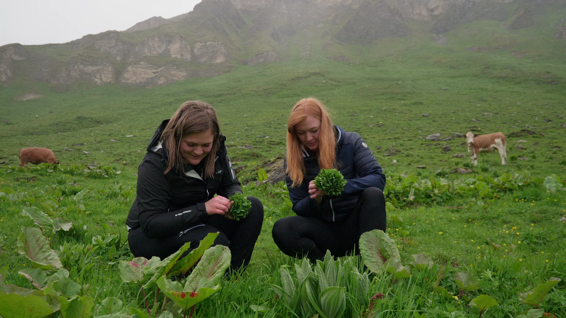 mit-der-natur-im-einklang-unesco-biosphaerenpark-salzburger-lungau-und-kaerntner-nockberger