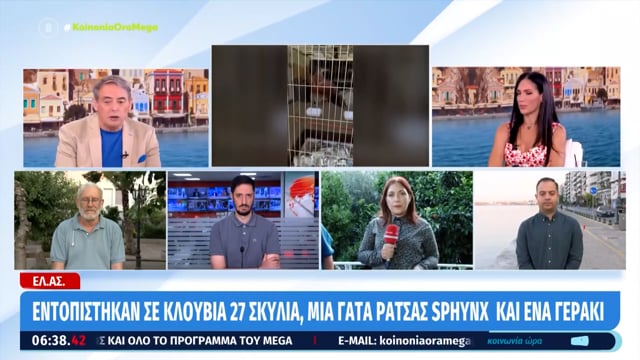 Για το παράνομο εκτροφείο και το παράνομο εμπόριο ζώων στα Σπάτα Αττικής 20-6-2025