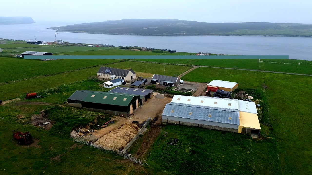 Farm & Lands of Allendale