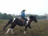 Horseback Riding Demo