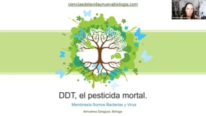 DDT, el pesticida mortal