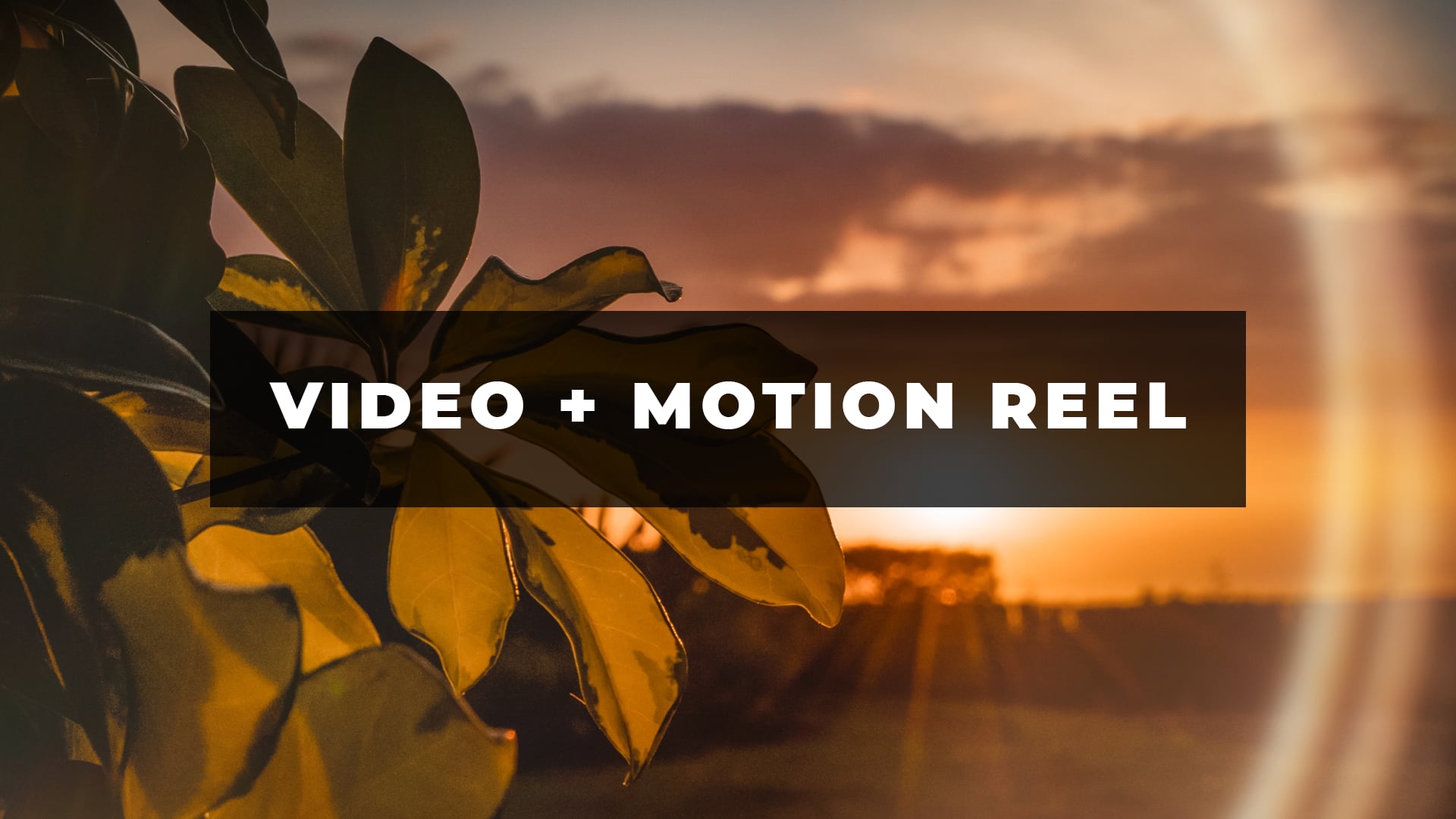 Video + Motion Reel