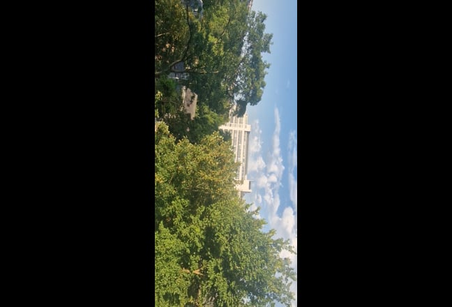 Video 1: