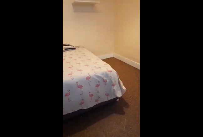 Video 1: