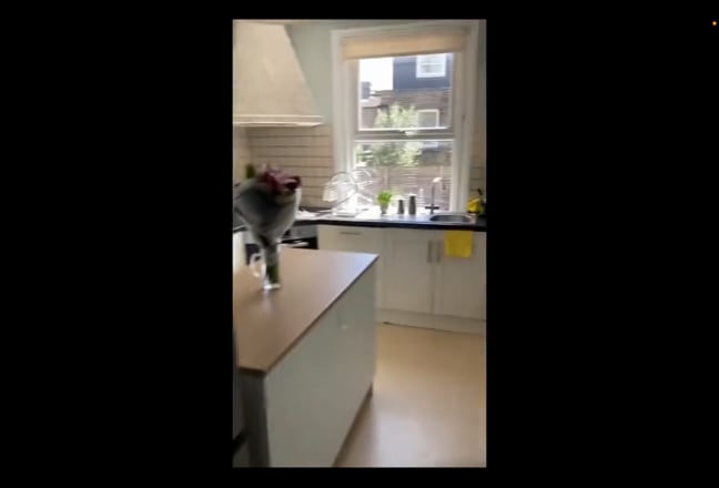 Video 1: 