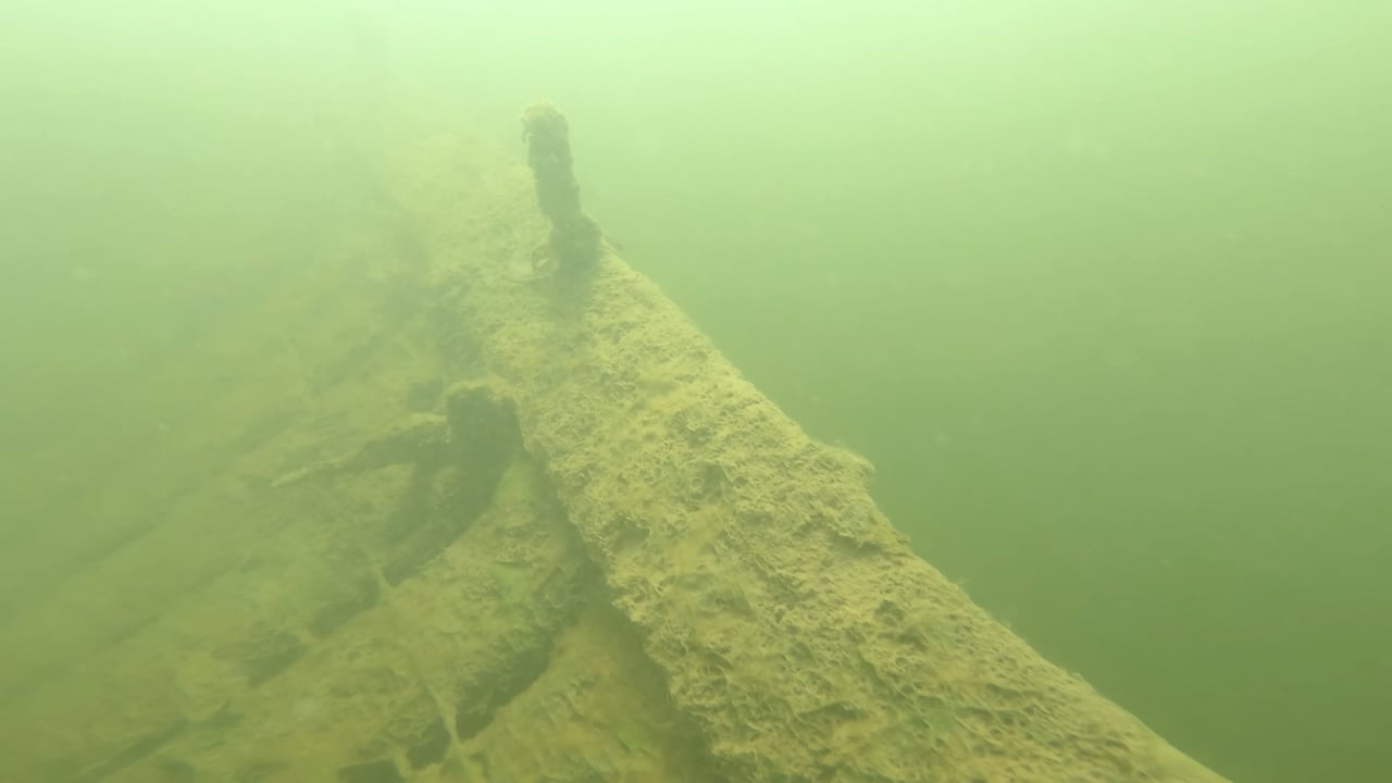 Gambo_Underwater